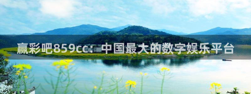 赢彩吧859cc：中国最大的数字娱乐平台