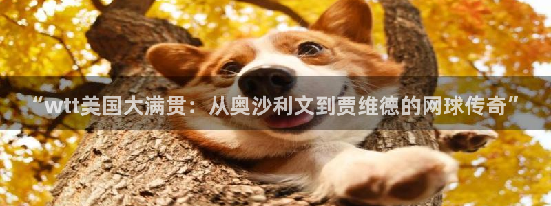“wtt美国大满贯：从奥沙利文到贾维德的网球传奇”