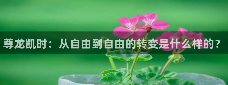 成都PG电子电子有限公司：尊龙凯时：从自由到自由的转变是什么样的？