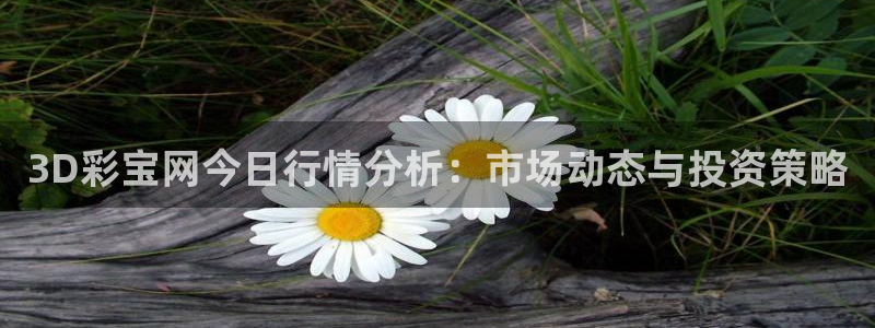 PG电子4：3D彩宝网今日行情分析：市场动态与投资策略
